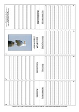 Faltbuch-Silbermöwe.pdf